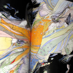 Amano Yoshitaka - The Tale Of Genji 