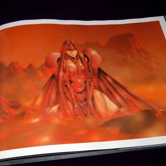 Dark Angel Illustrations - Newtype 100 Collection 
