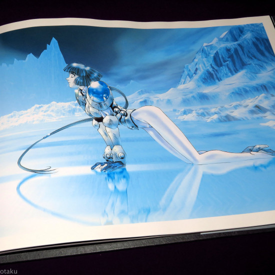 Dark Angel Illustrations - Newtype 100 Collection 
