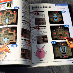 Terranigma / Tenchi Sozo - Super Famicom Japan Game Guide