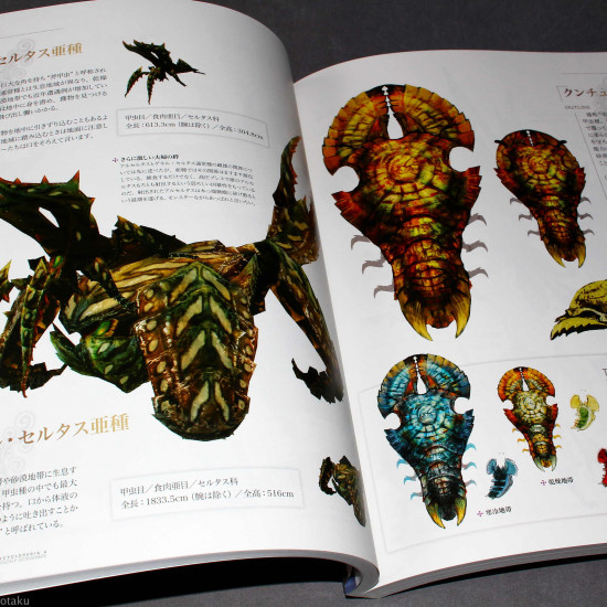 Monster Hunter Hunter S Encyclopedia 4