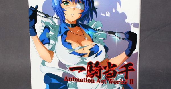 Ikki Tousen Animation Art Works Ii