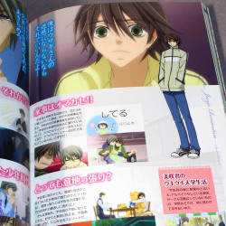 Junjo Romantica Sweet Present TV