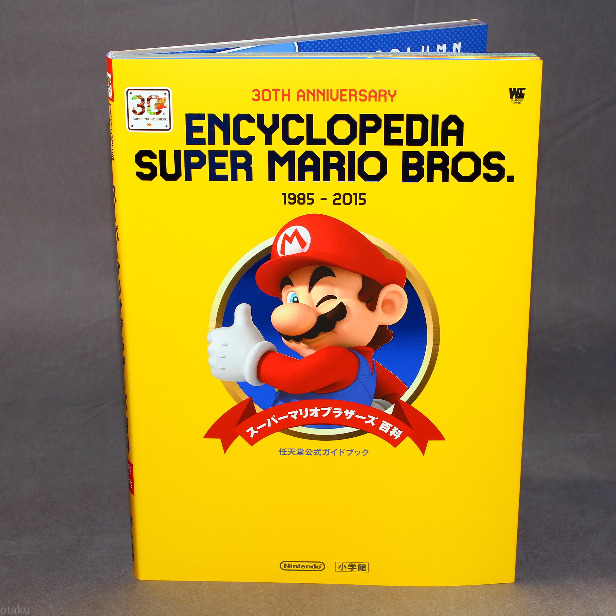 Encyclopedia Super Mario Bros 30th Anniversary 1985 15