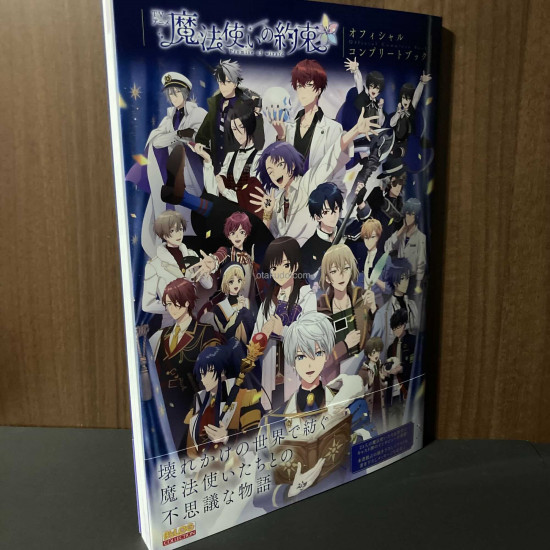 Promise of Wizard TV Anime Official Complete Book