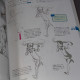 How to Draw - The Basic Rules of Drawing Characters