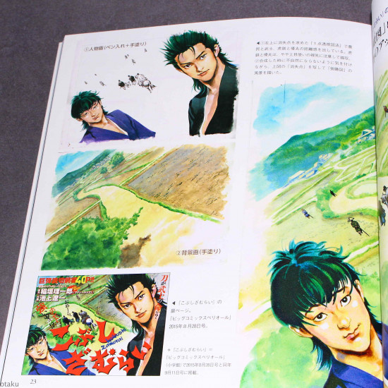 Professional Manga Techniques: How to Draw Wild and Beauty
