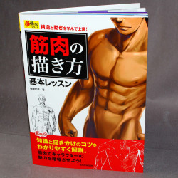 How to Draw Muscles - The Basics