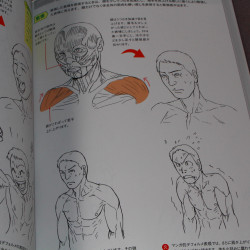 How to Draw Muscles - The Basics