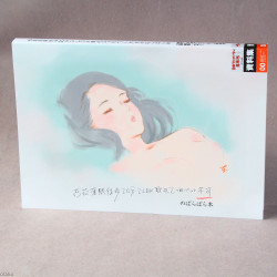 Anime Art Book