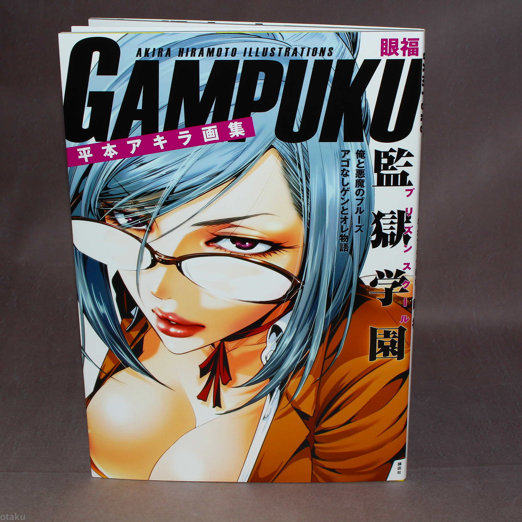 Akira Hiramoto Illustrations Gampuku