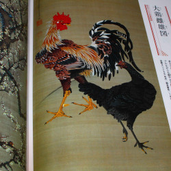 Jakuchu no Sekai / The World of Ito Jakuchu