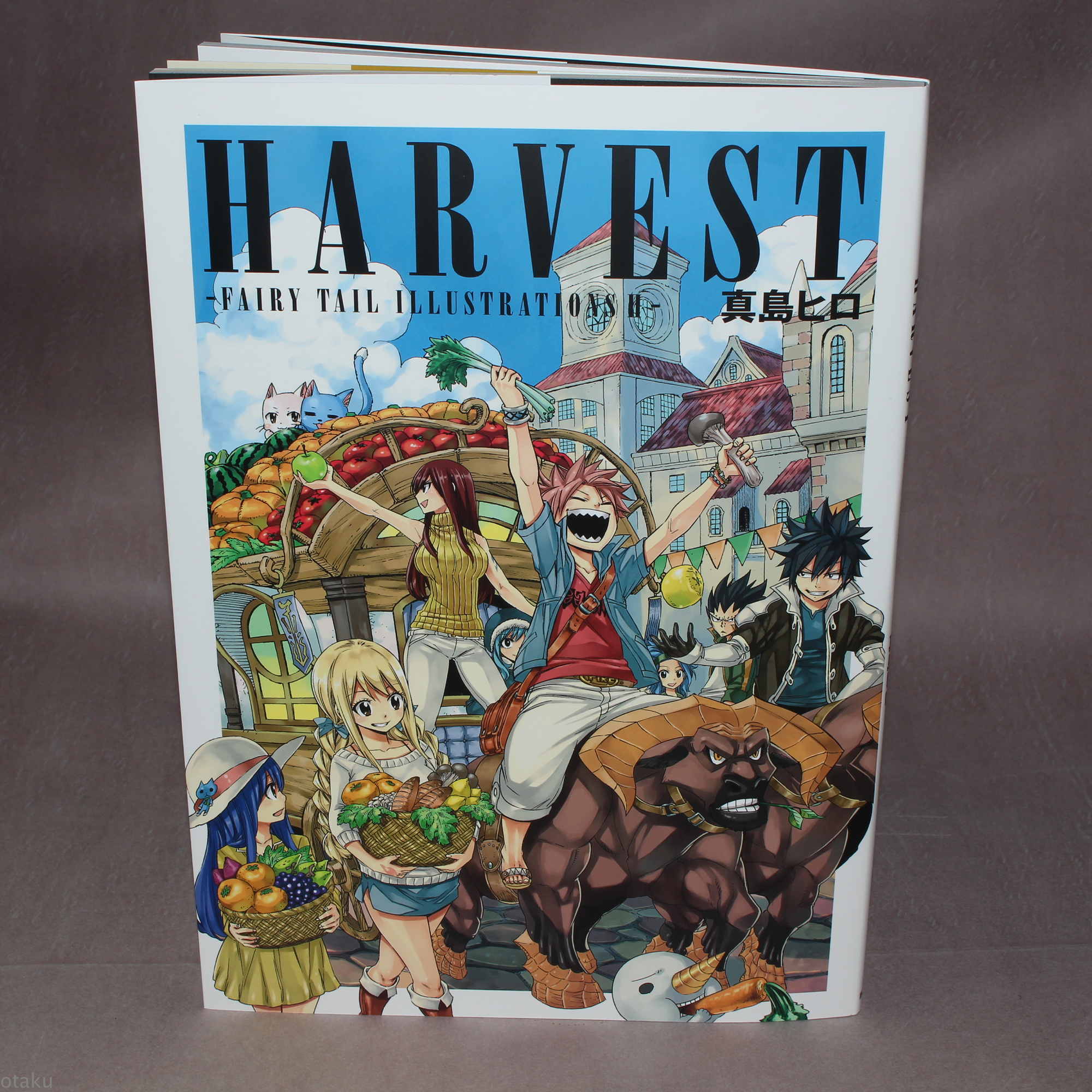Harvest Fairy Tail Illustrations II Mashima Hiro JP