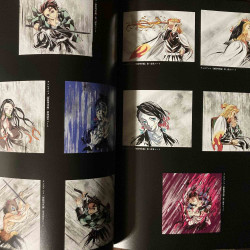 Demon Slayer  Kimetsu no Yaiba Anime Illustrations 3