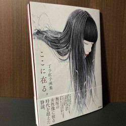Beniko Choji Artworks Koko ni Aru