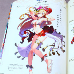 Valkyrie Connect - Official Visual Collection