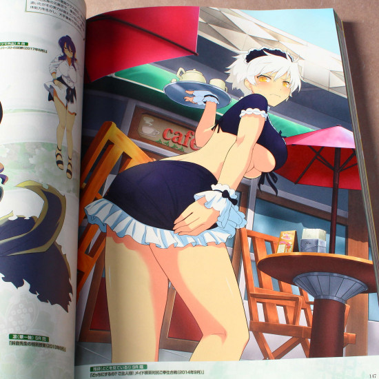 Senran Kagura New Wave G Burst Official Visual Collection Vol 1