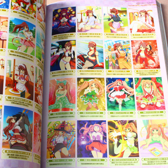 Senran Kagura New Wave G Burst Official Visual Collection Vol 2