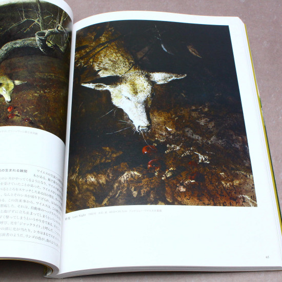 Andrew Wyeth - Art Book - Japanese edition