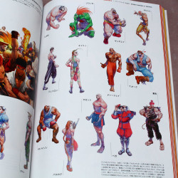Street Fighter Memorial Archive: Beyond the World 