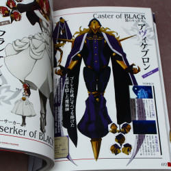 Fate/Apocrypha - Anime Visual Guide