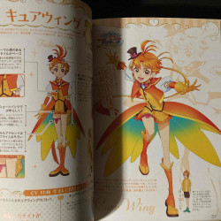 PreCure / Pretty Cure 20th Anniversary Book Costume Chronicle