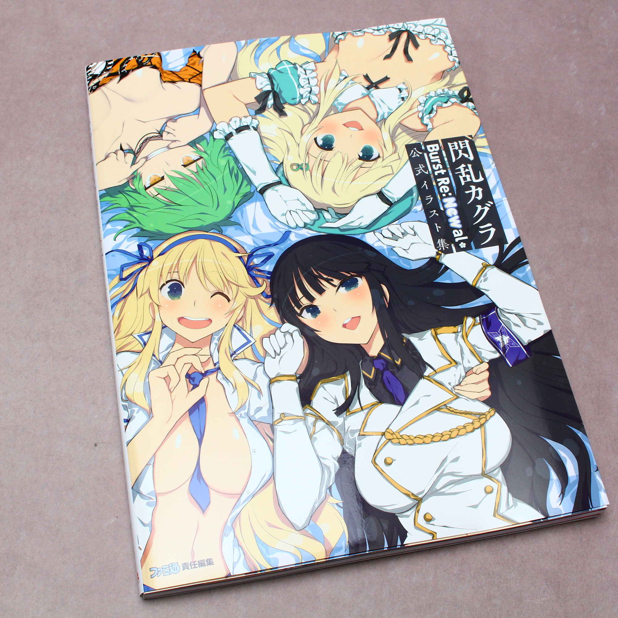 閃乱カグラ Burst Re:Newal 公式イラスト集