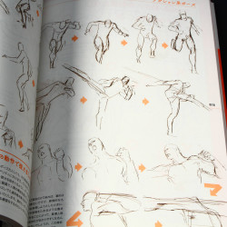 Animators Sketch Collection - Muscle Characters