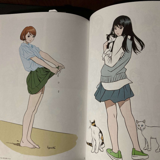 Megami Magazine Rx Vol 8