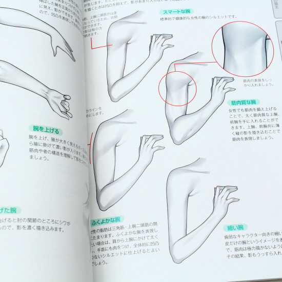 How To Draw Bishoujo Realistic Skin