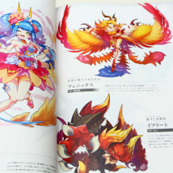 Dragalia Lost Official Art Book