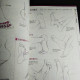 How to Draw and Sketch Manga Characters