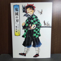 Demon Slayer  Kimetsu no Yaiba Illustrations