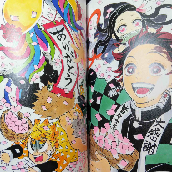 Demon Slayer  Kimetsu no Yaiba Illustrations