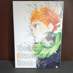 Haikyu Complete Illustration book