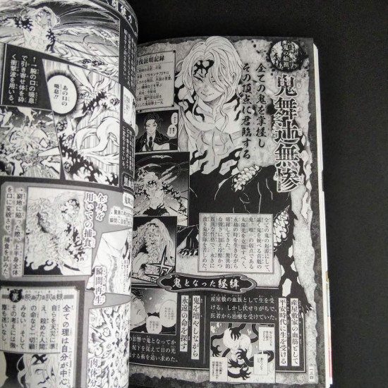 Demon Slayer  Kimetsu no Yaiba Official Fan Book 2