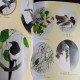 Watanabe Shotei Seitei - The Glory of Bird-and-Flower Painting 