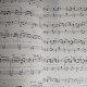 Kenshi Yonezu  Stray Sheep -  Piano Score Book