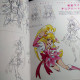 Akira Takahashi - Toei Animation PreCure Works Revised ver.
