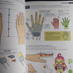 How to Draw Practical Poses of the Hands 