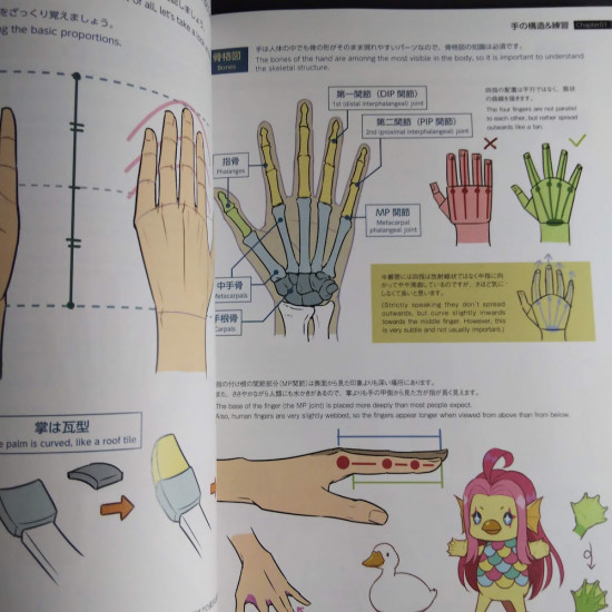 How to Draw Practical Poses of the Hands 