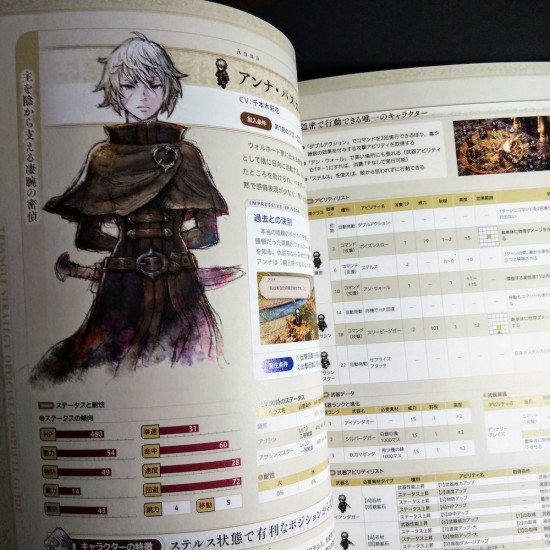 TRIANGLE STRATEGY OFFICIAL COMPLETE GUIDE
