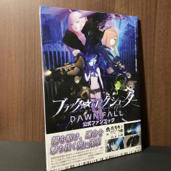 Black Rock Shooter Dawn Fall - Official Fan Book