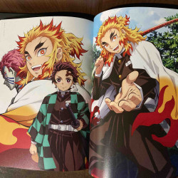 Demon Slayer  Kimetsu no Yaiba Anime Illustrations 2