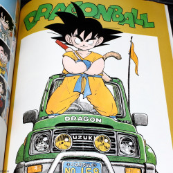 Akira Toriyama - The World Special Illustrations