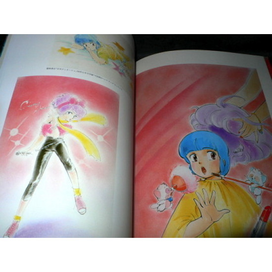 Akemi Takada - Complete Visual Works B-club Special 