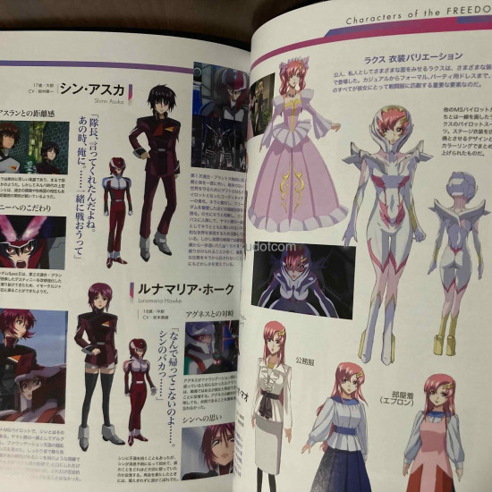 Gundam Seed FREEDOM Animation Guide Sword of COMPASS