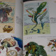 Breath Of Fire IV - Official Sketch Book 