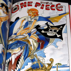 One Piece Color Walk 1