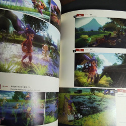 Sakuna Of Rice and Ruin Art Works